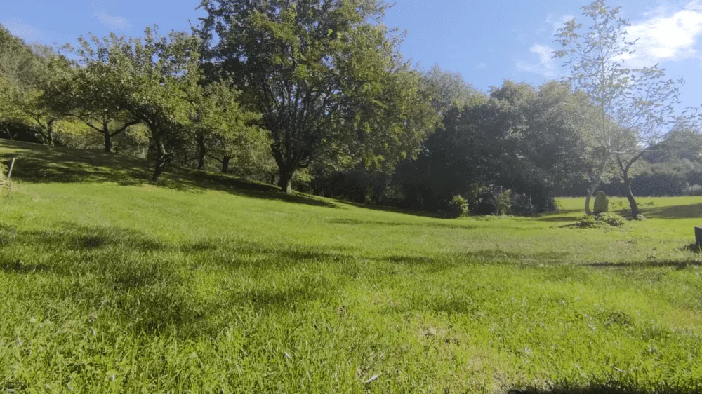 Predám dom s veľkým pozemkom s potokom., 137674_13