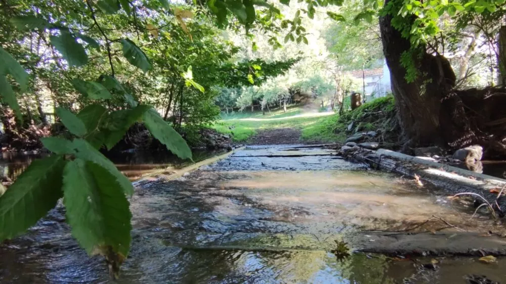 Predám dom s veľkým pozemkom s potokom., 137674_14