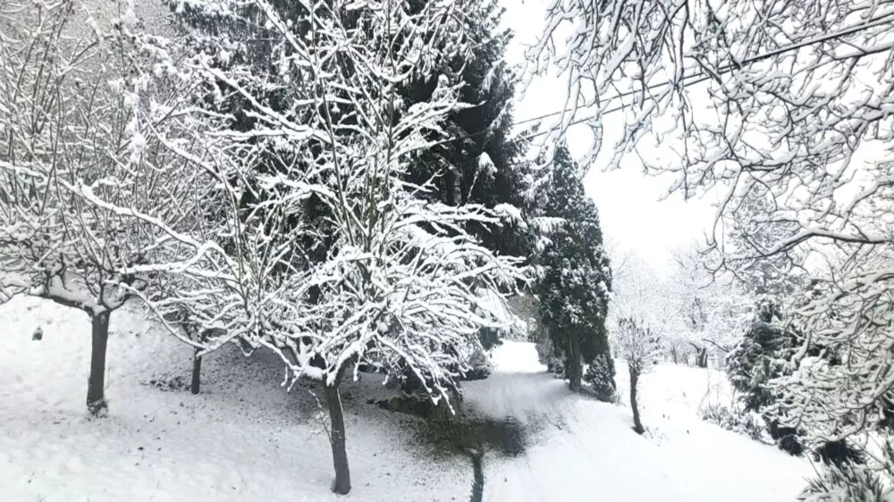 Predám dom s veľkým pozemkom s potokom., 137674_15