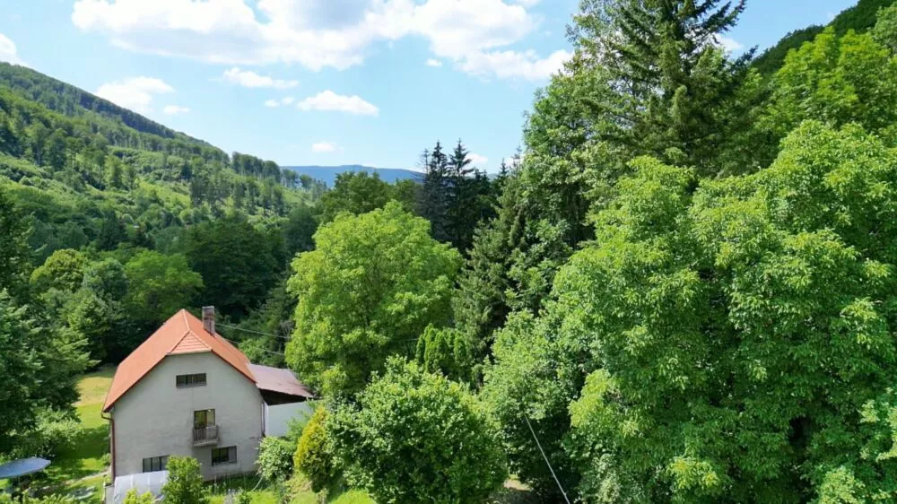 Predám dom s veľkým pozemkom s potokom., 137674_17