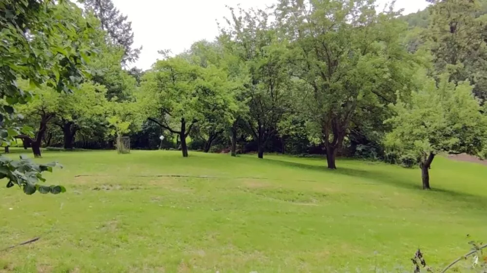 Predám dom s veľkým pozemkom s potokom., 137674_21