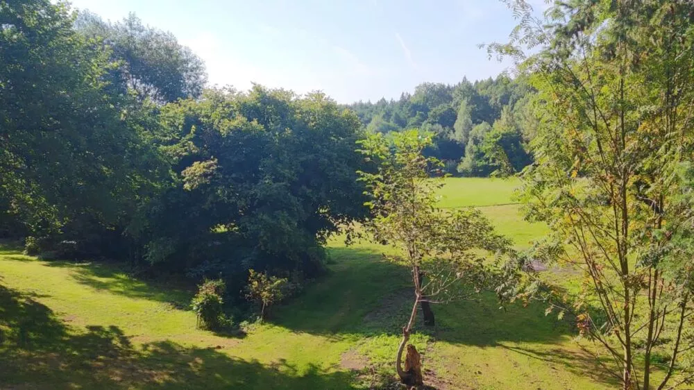 Predám dom s veľkým pozemkom s potokom., 137674_22