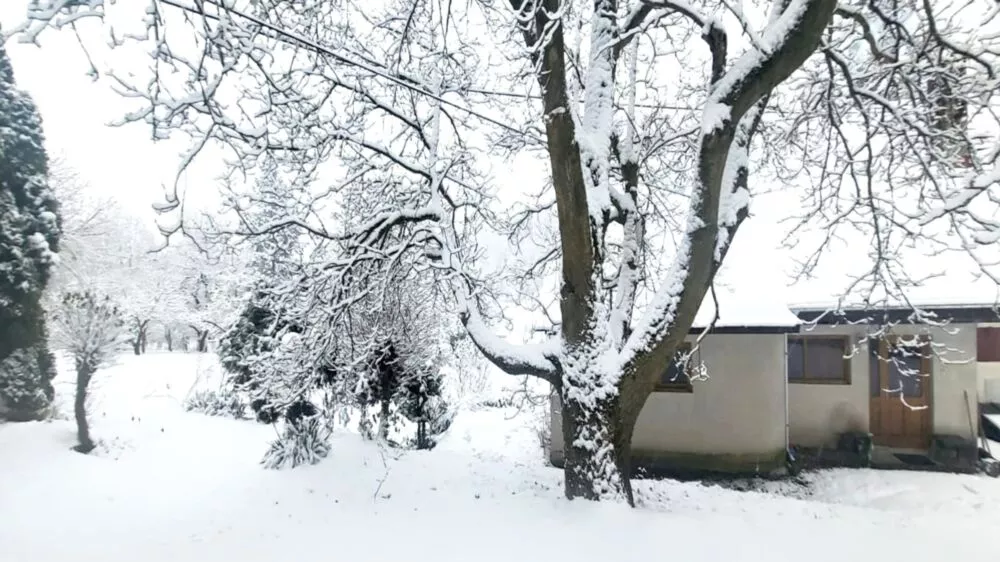 Predám dom s veľkým pozemkom s potokom., 137674_26