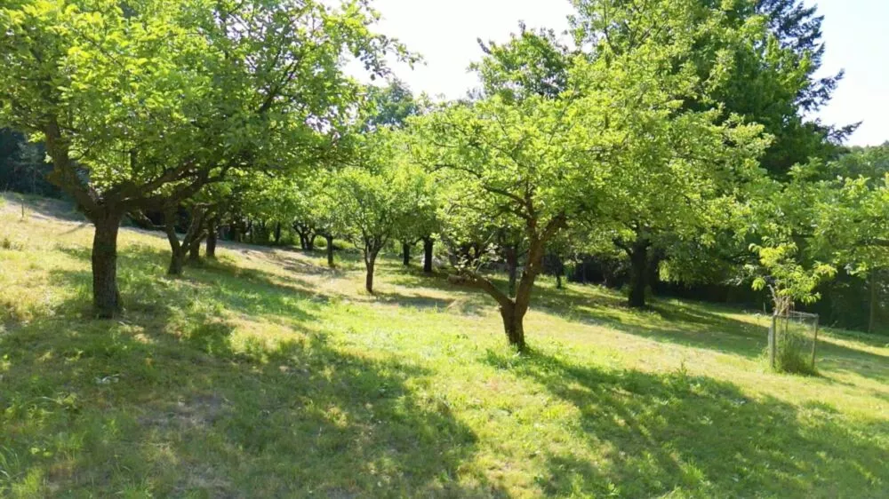 Predám dom s veľkým pozemkom s potokom., 137674_29