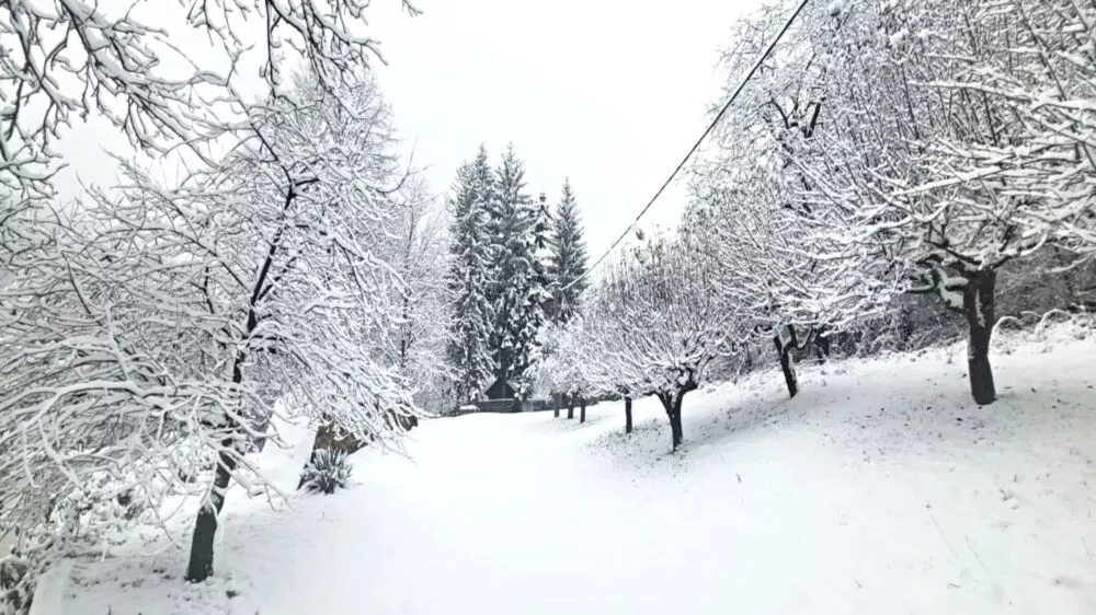 Predám dom s veľkým pozemkom s potokom., 137674_30