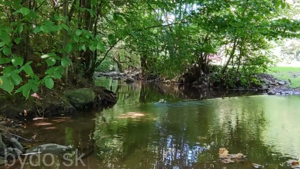 Predám dom s veľkým pozemkom s potokom., 137674_31