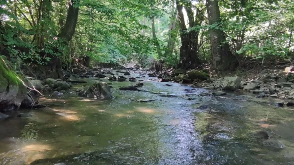 Predám dom s veľkým pozemkom s potokom., 137674_35