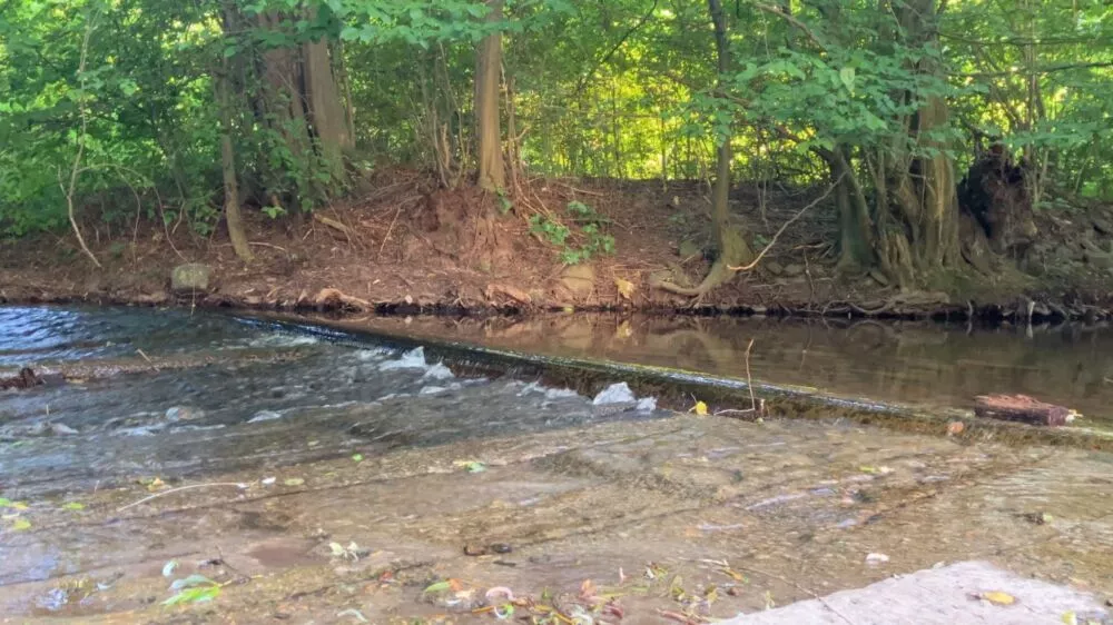 Predám dom s veľkým pozemkom s potokom., 137674_36