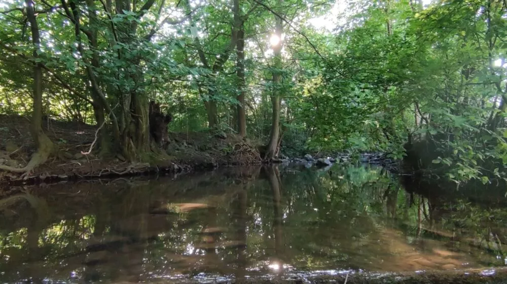 Predám dom s veľkým pozemkom s potokom., 137674_37