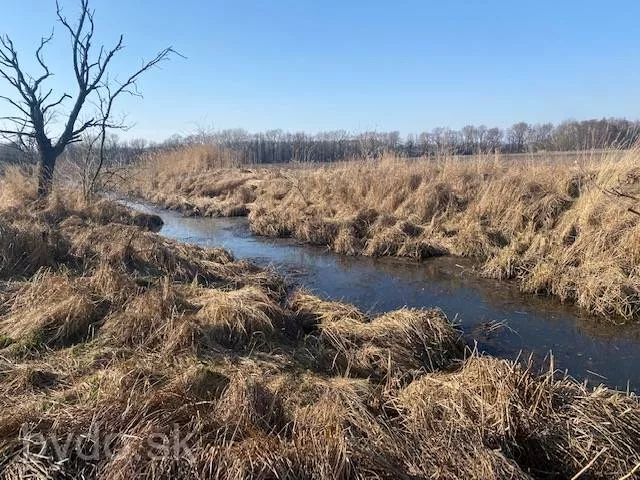 Orná pôda na predaj, Nová signálka, Malé Leváre, 137755_1