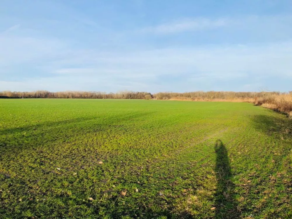 Orná pôda na predaj, Nová signálka, Malé Leváre, 137755_3