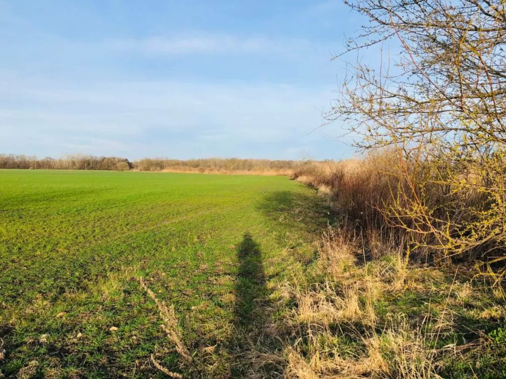 Orná pôda na predaj, Nová signálka, Malé Leváre, 137755_4