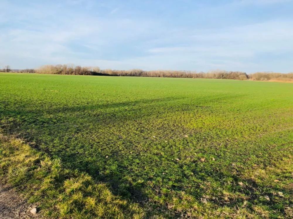 Orná pôda na predaj, Nová signálka, Malé Leváre, 137755_5