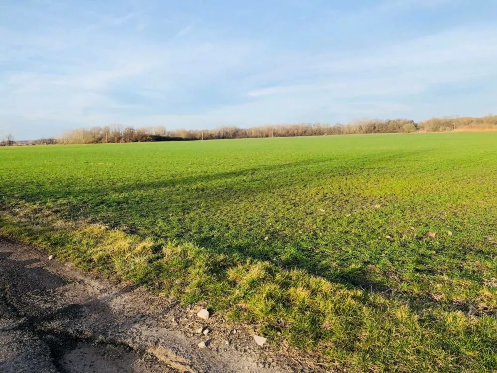 Orná pôda na predaj, Nová signálka, Malé Leváre, 137755_6