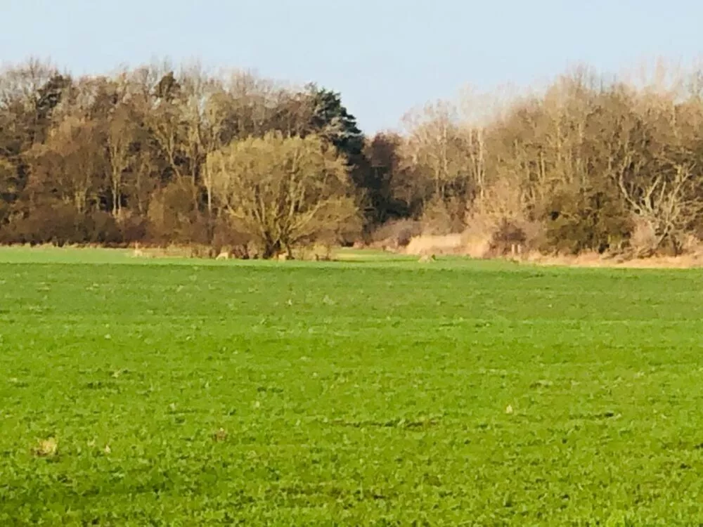 Orná pôda na predaj, Nová signálka, Malé Leváre, 137755_7