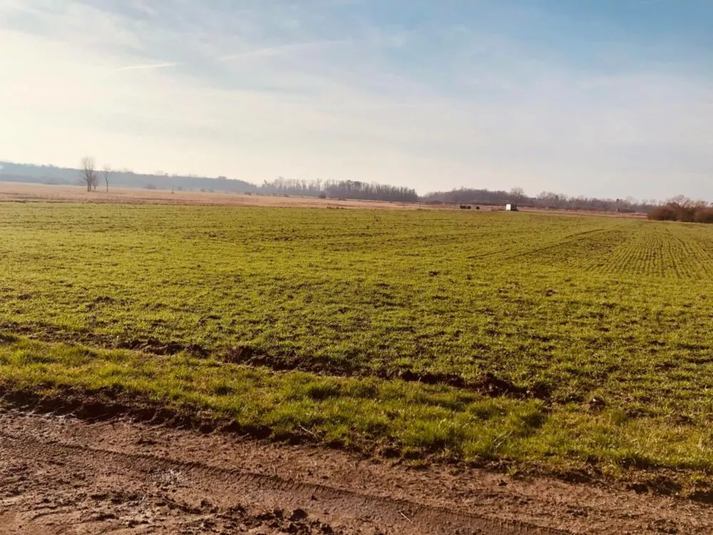 Orná pôda na predaj, Nová signálka, Malé Leváre, 137755_8