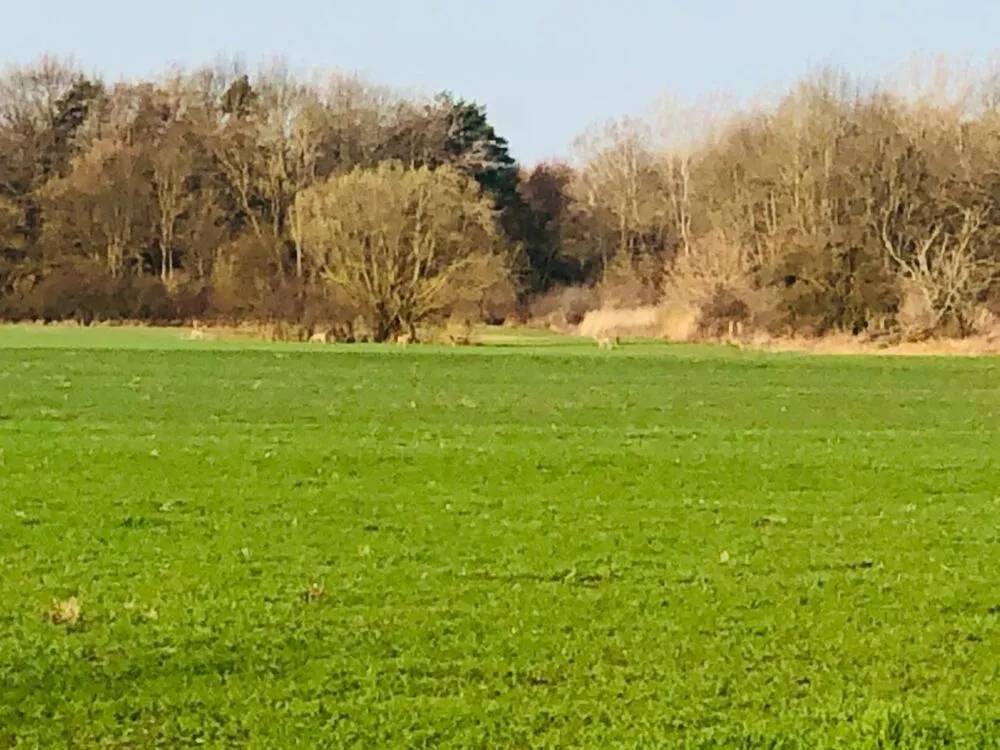 Orná pôda na predaj, Nová signálka, Malé Leváre, 137755_9