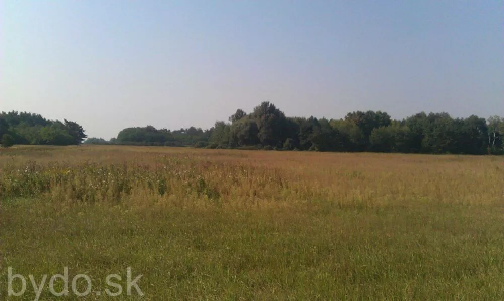 Orná pôda na predaj, Nová signálka, Malé Leváre, 137756_3