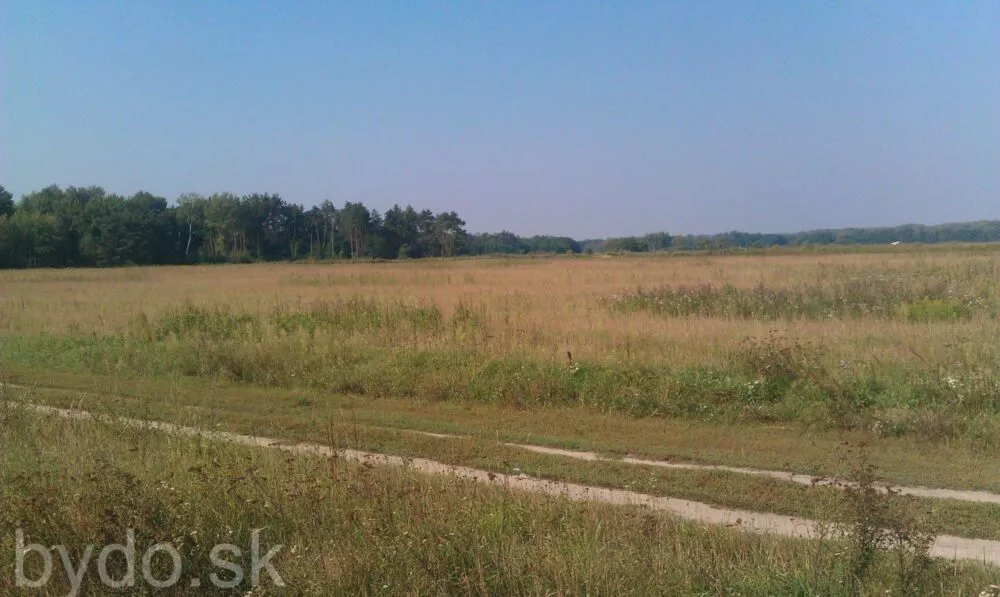 Orná pôda na predaj, Nová signálka, Malé Leváre, 137756_4