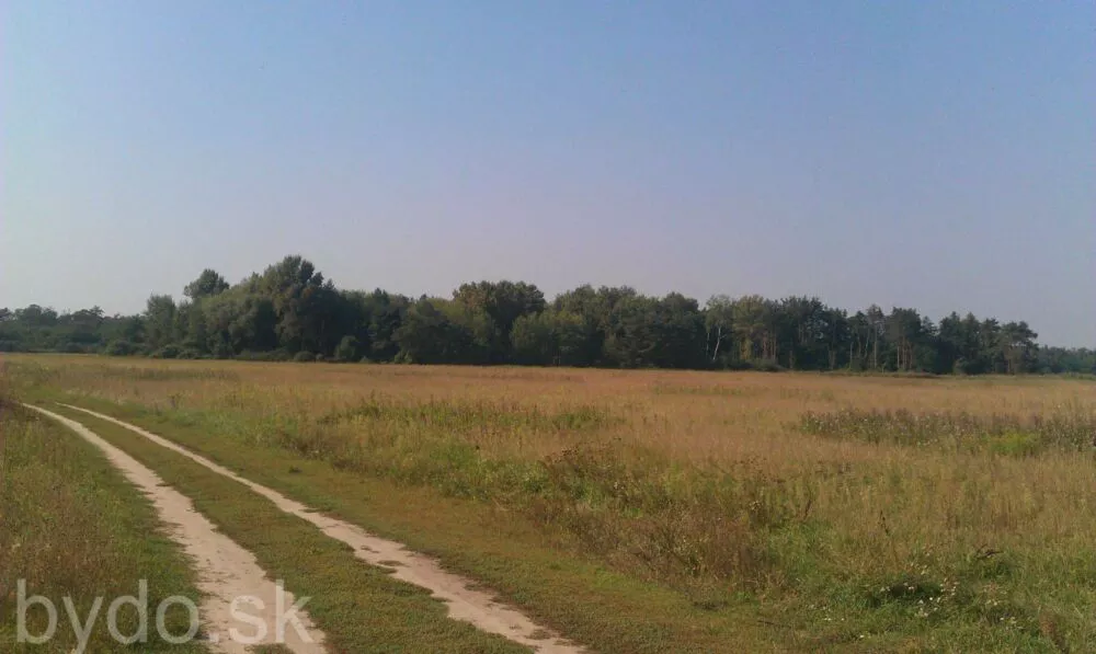 Orná pôda na predaj, Nová signálka, Malé Leváre, 137756_5