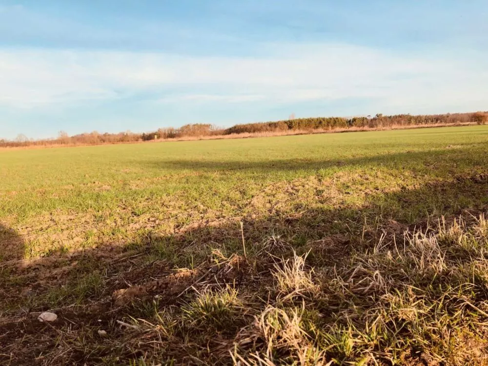 Orná pôda na predaj, Nová signálka, Malé Leváre, 137756_6