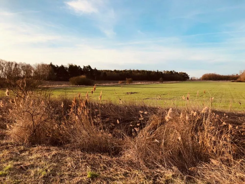 Orná pôda na predaj, Nová signálka, Malé Leváre, 137756_8