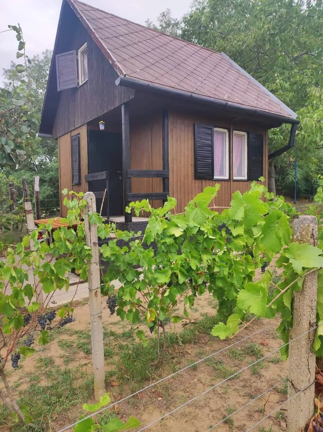 Chata a chalupa na predaj 1054m2, Košice, 137845_1