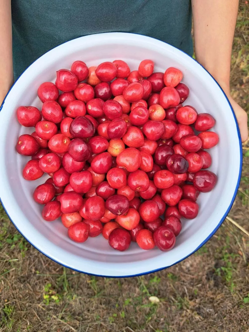 Chata a chalupa na predaj 1054m2, Košice, 137845_10