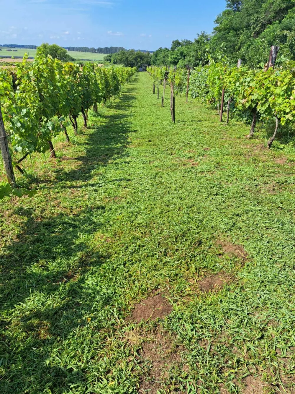 Chata a chalupa na predaj 1054m2, Košice, 137845_16