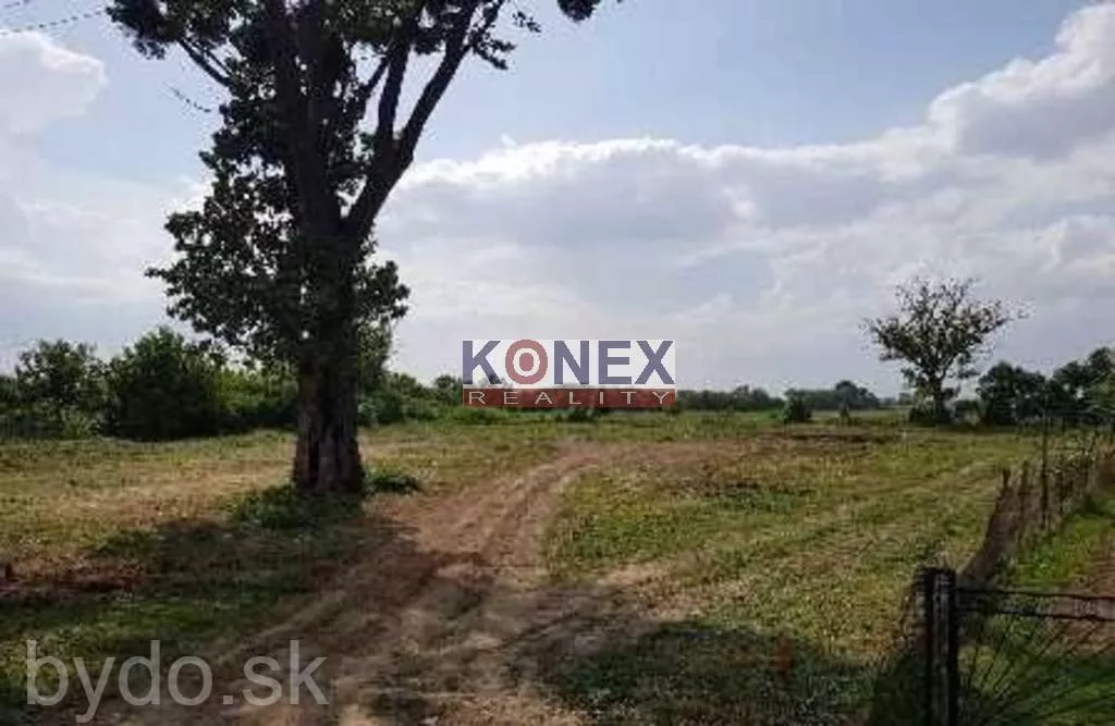 SUPER INVESTÍCIA Rozľahlý pozemok pre RD – Veľké Kapušany, 145840_2
