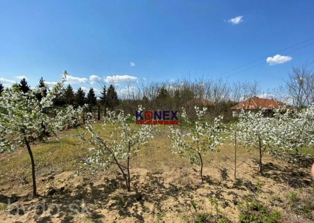 Gazdovský dom neďaleko mesta Sárospatak, Maďarsko, 146664_5