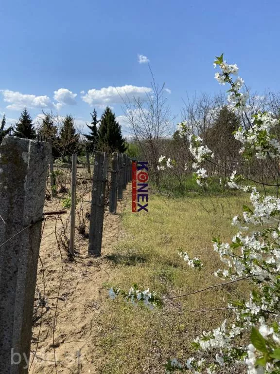 Gazdovský dom neďaleko mesta Sárospatak, Maďarsko, 146664_8