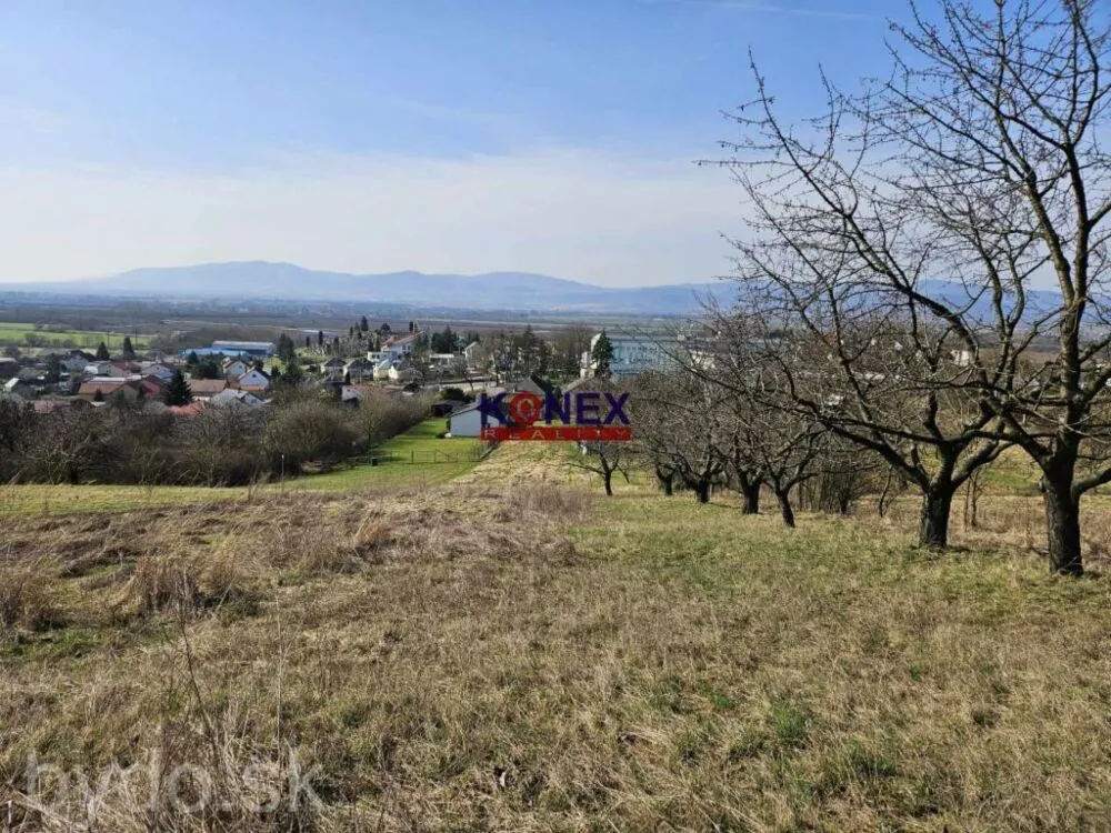 Poschodový dom s krásnym pozemkom (48 a) vo Vranove nad Topľou, 149668_10