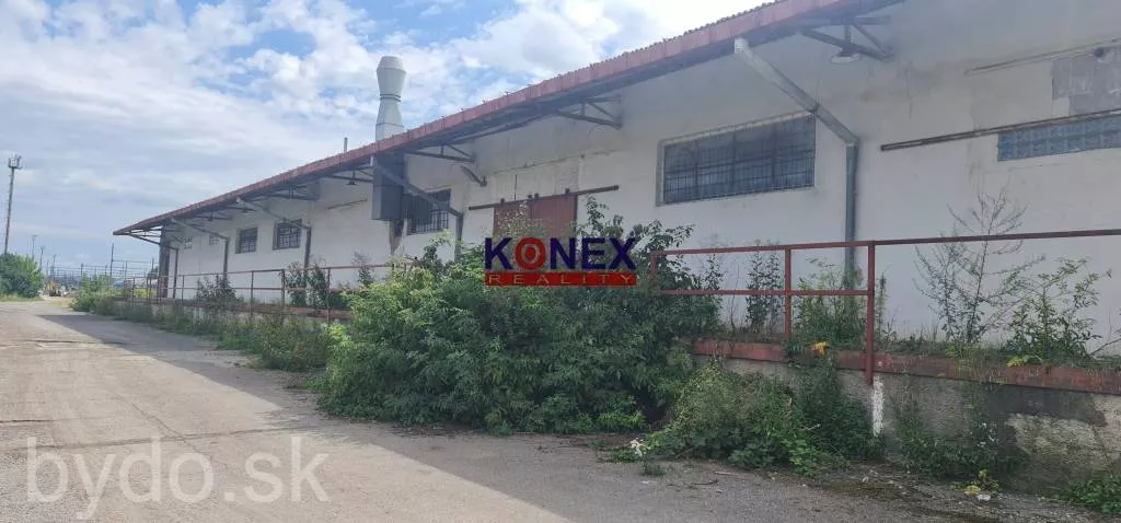 Priemyselná hala pri železnici v Trebišove NA PRENÁJOM, 150331_2