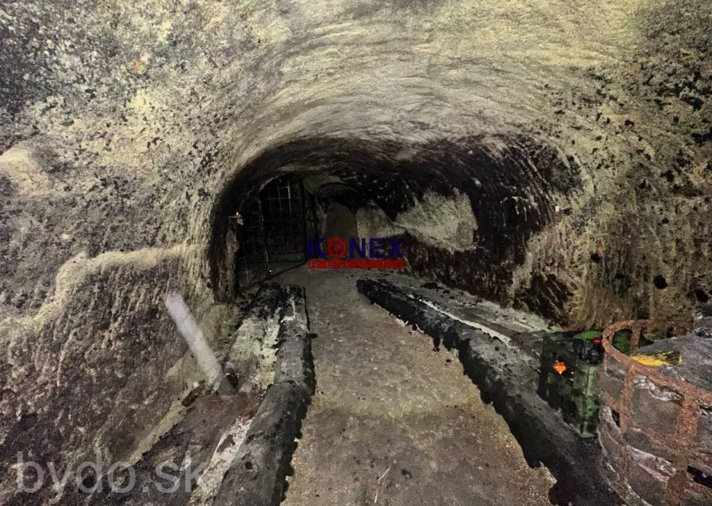 NA PREDAJ – TOKAJSKÁ Pivnica, 151968_1