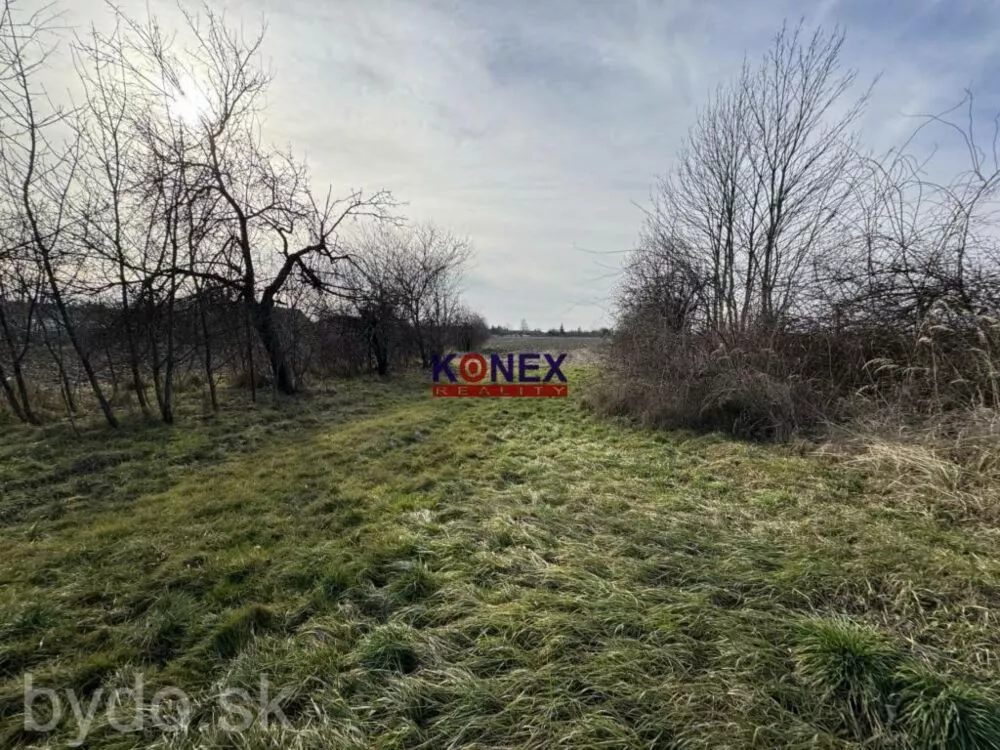 VÝHODNÁ PONUKA – CHATA s pozemkom v obci IŇAČOVCE, 150262_7