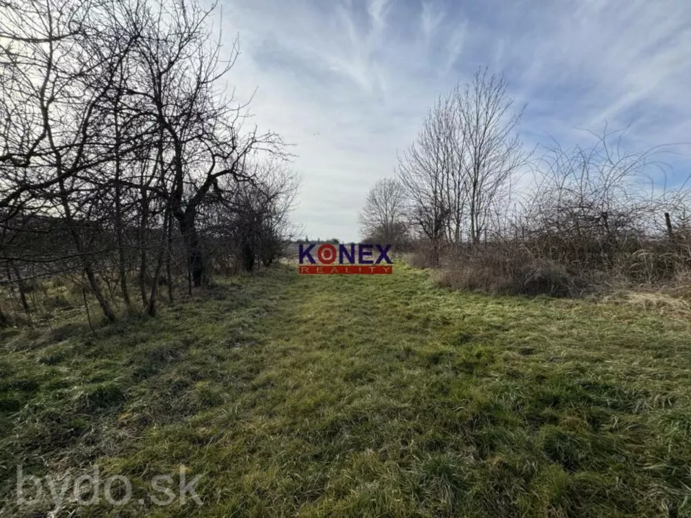 VÝHODNÁ PONUKA – CHATA s pozemkom v obci IŇAČOVCE, 150262_8