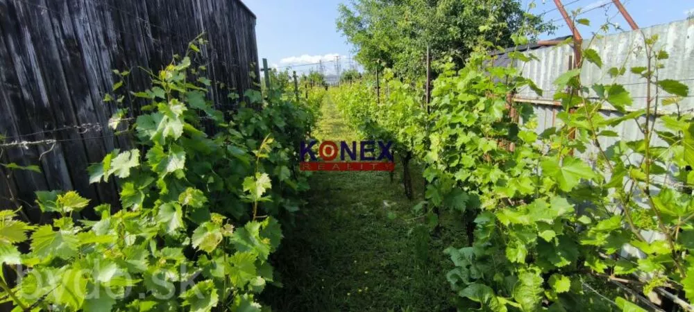 ZĽAVA! Rodinný dom v obci BORŠA – NA PREDAJ, 154811_13