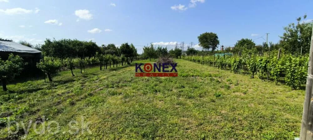 ZĽAVA! Rodinný dom v obci BORŠA – NA PREDAJ, 154811_14