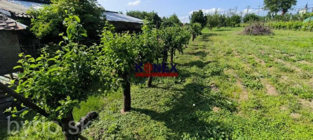 ZĽAVA! Rodinný dom v obci BORŠA – NA PREDAJ, 154811_15