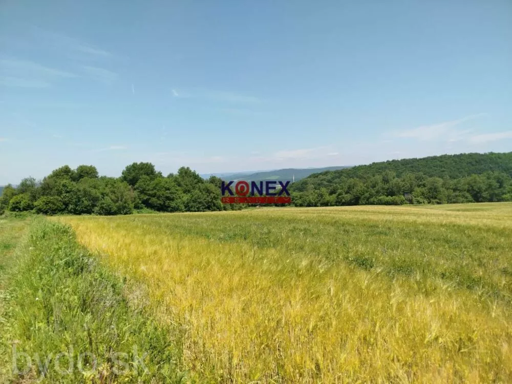 POĽNOHOSPODÁRSKE POZEMKY k. ú. Zemplínske Hámre, 155478_0