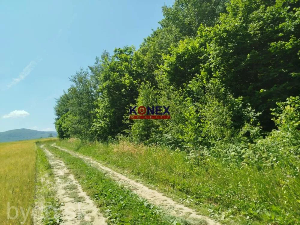 POĽNOHOSPODÁRSKE POZEMKY k. ú. Zemplínske Hámre, 155478_1