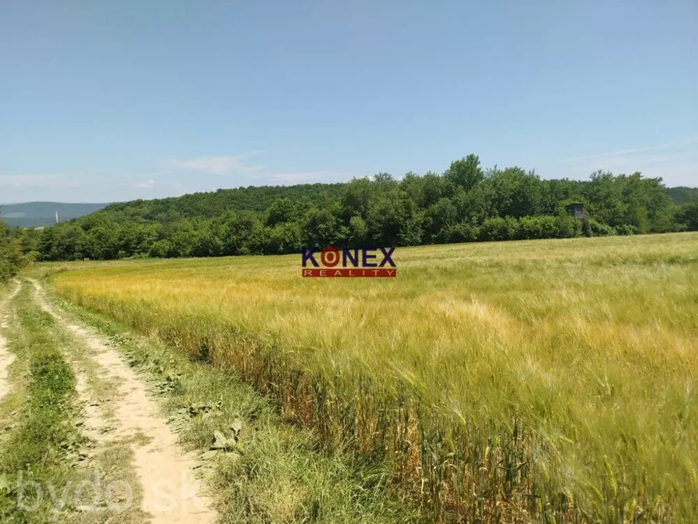 POĽNOHOSPODÁRSKE POZEMKY k. ú. Zemplínske Hámre, 155478_2