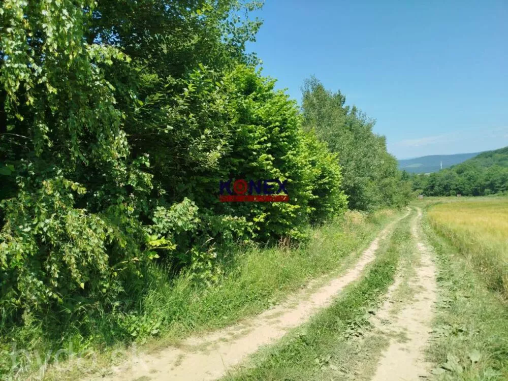 POĽNOHOSPODÁRSKE POZEMKY k. ú. Zemplínske Hámre, 155478_3