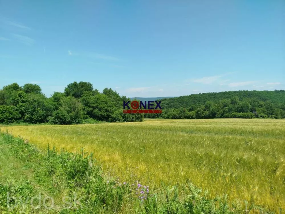 POĽNOHOSPODÁRSKE POZEMKY k. ú. Zemplínske Hámre, 155478_5