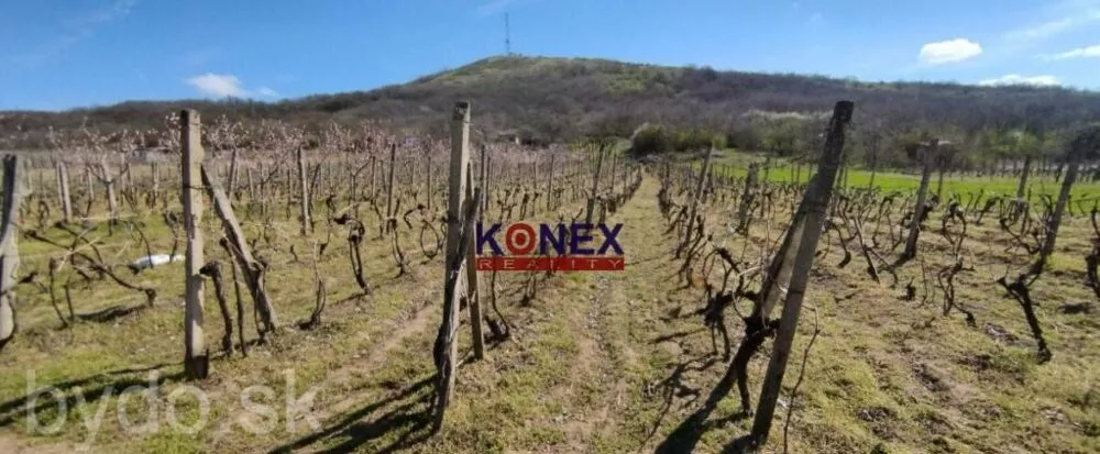 NA PREDAJ – Vinica – Malý Kamenec, 155534_0