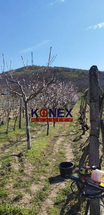 NA PREDAJ – Vinica – Malý Kamenec, 155534_1