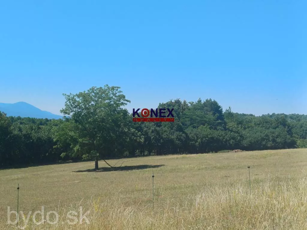 NA PREDAJ - Poľnohospodárske a lesné pozemky Vranov nad Topľou, 154121_0