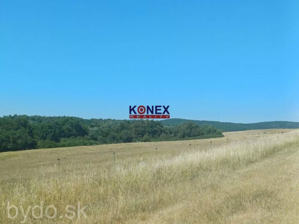 NA PREDAJ - Poľnohospodárske a lesné pozemky Vranov nad Topľou, 154121_1