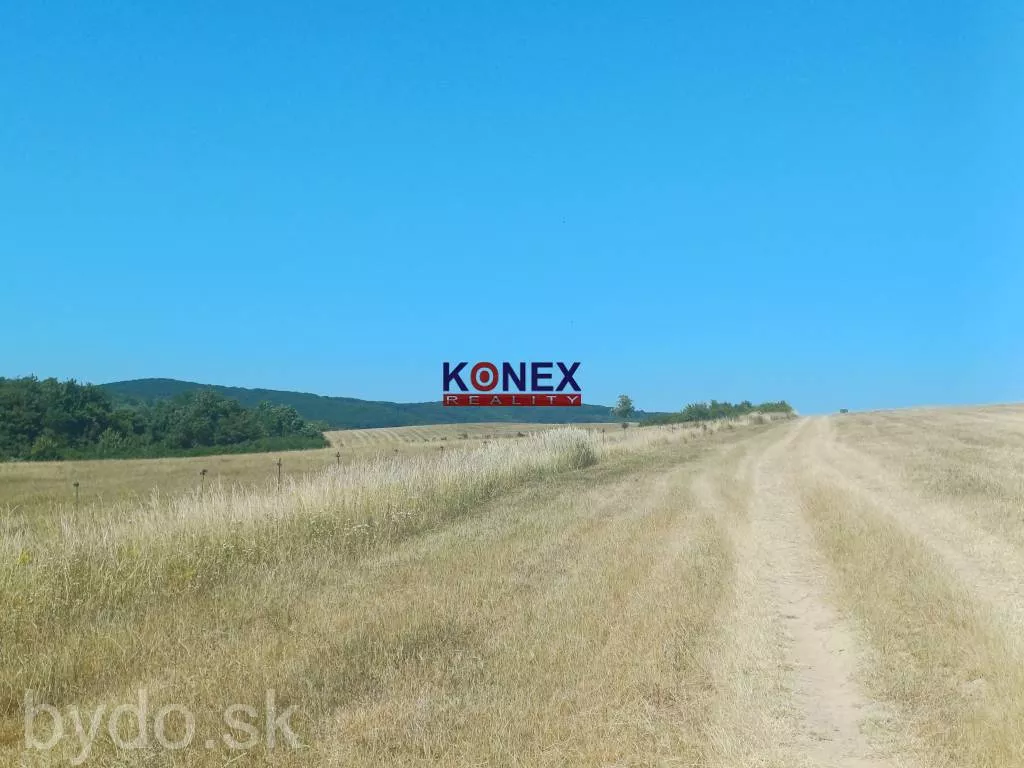 NA PREDAJ - Poľnohospodárske a lesné pozemky Vranov nad Topľou, 154121_2